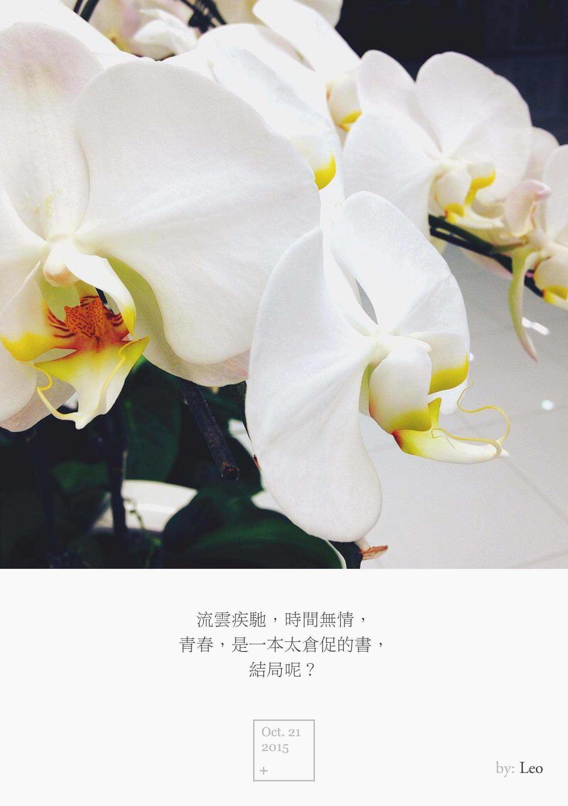 兰花