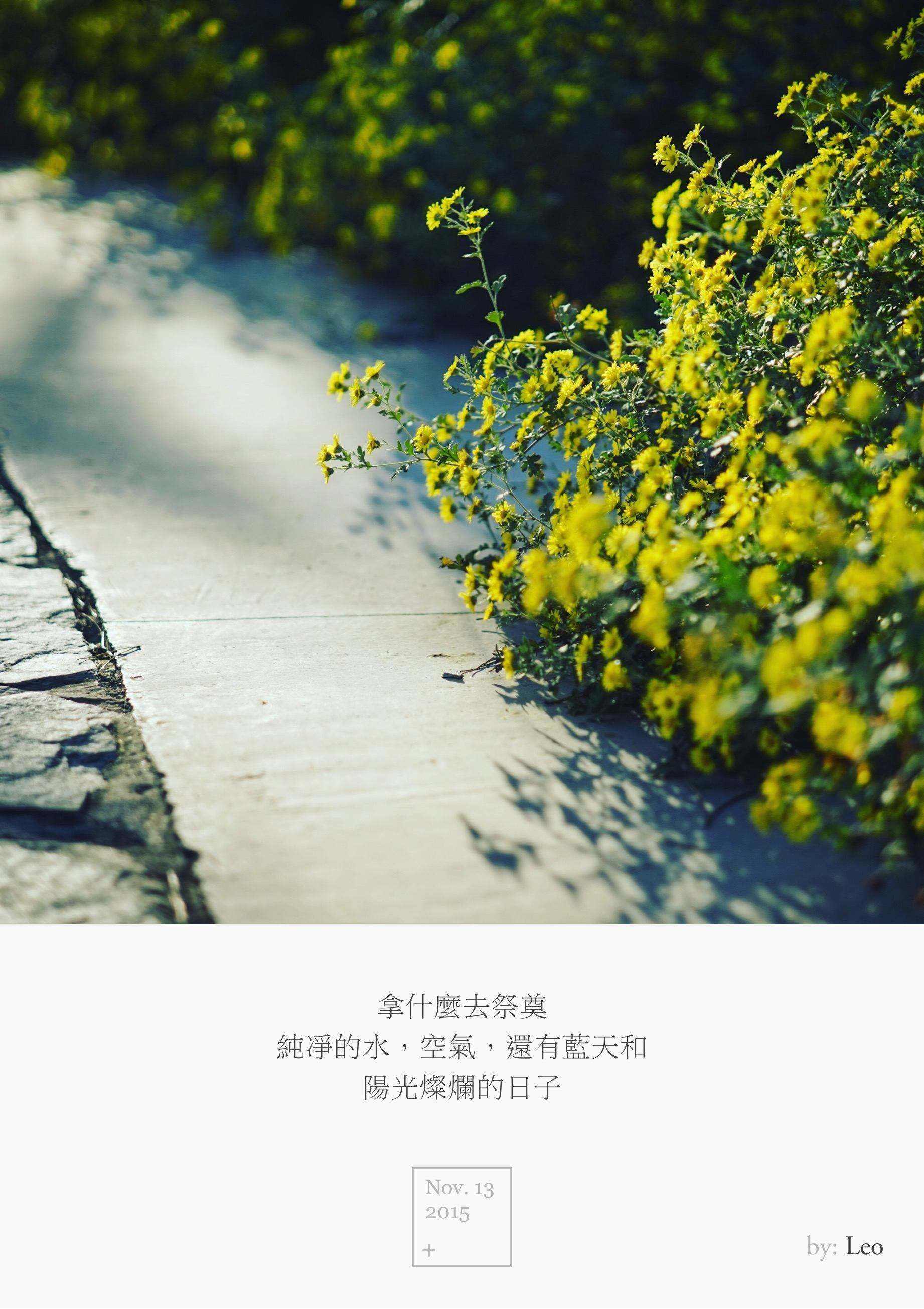 菊花小径