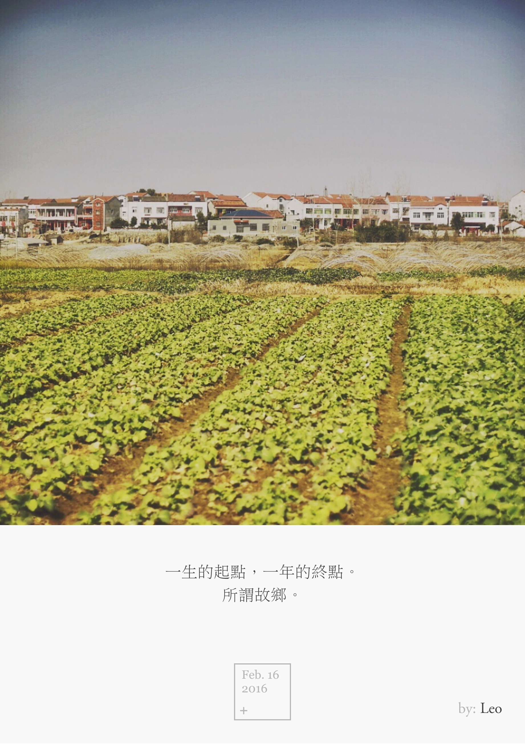 乡村油菜花