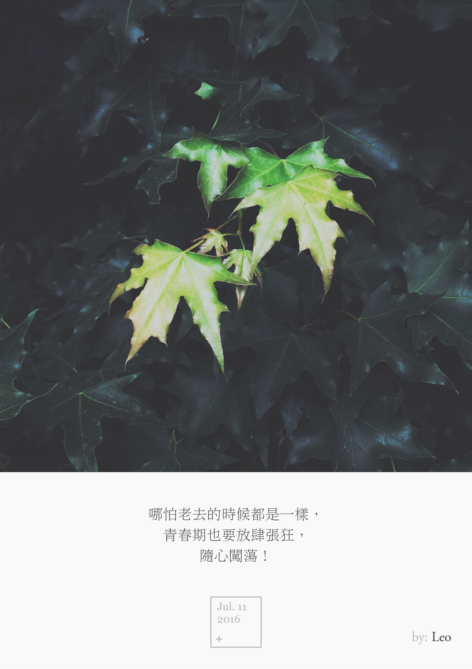 哪怕老去的时候都是一样, 青春期也要放肆张狂, 随心闯荡!