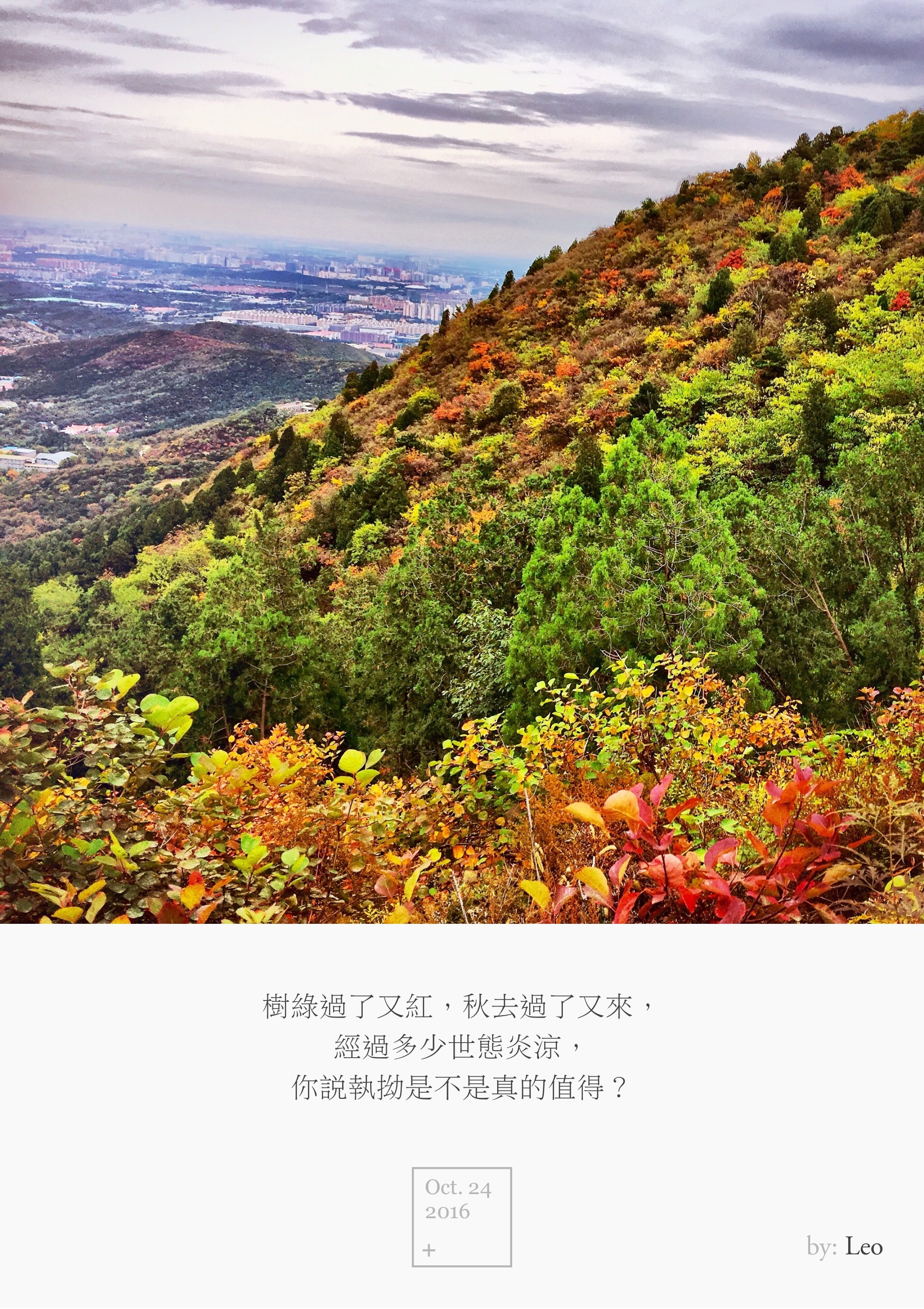 西山红叶