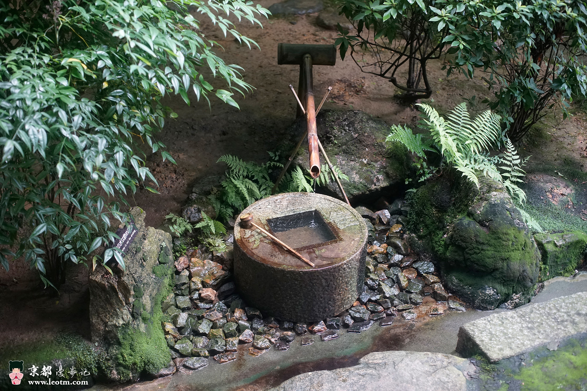 龙安寺