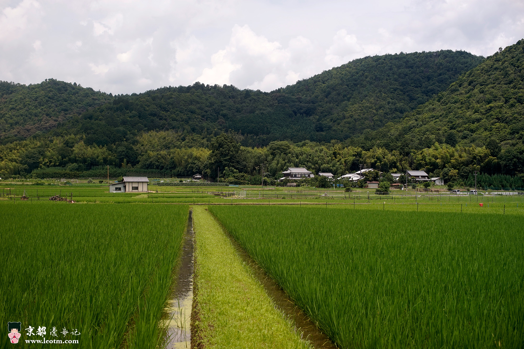 从龙安寺徒步到大觉寺