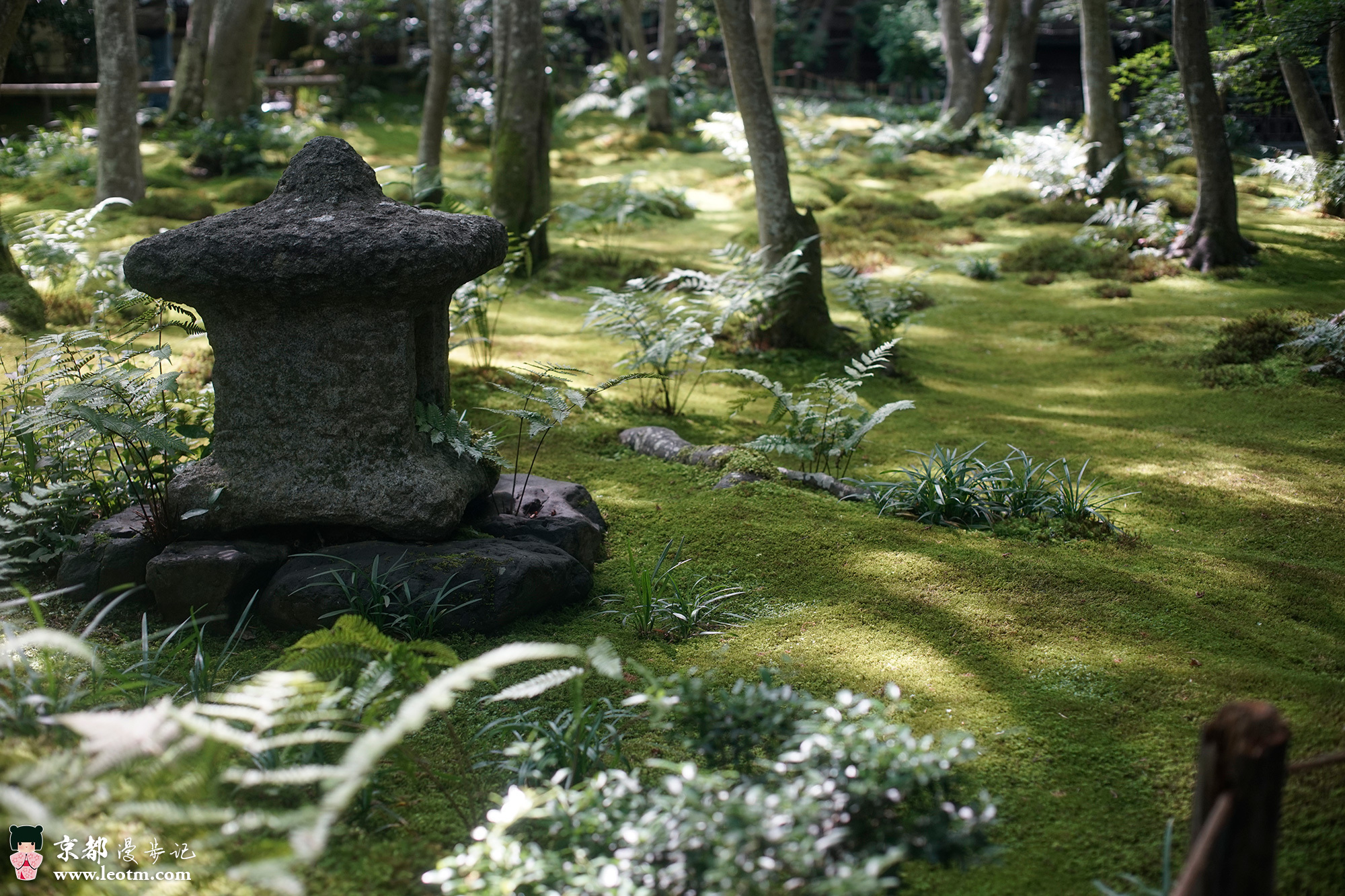 纸王寺