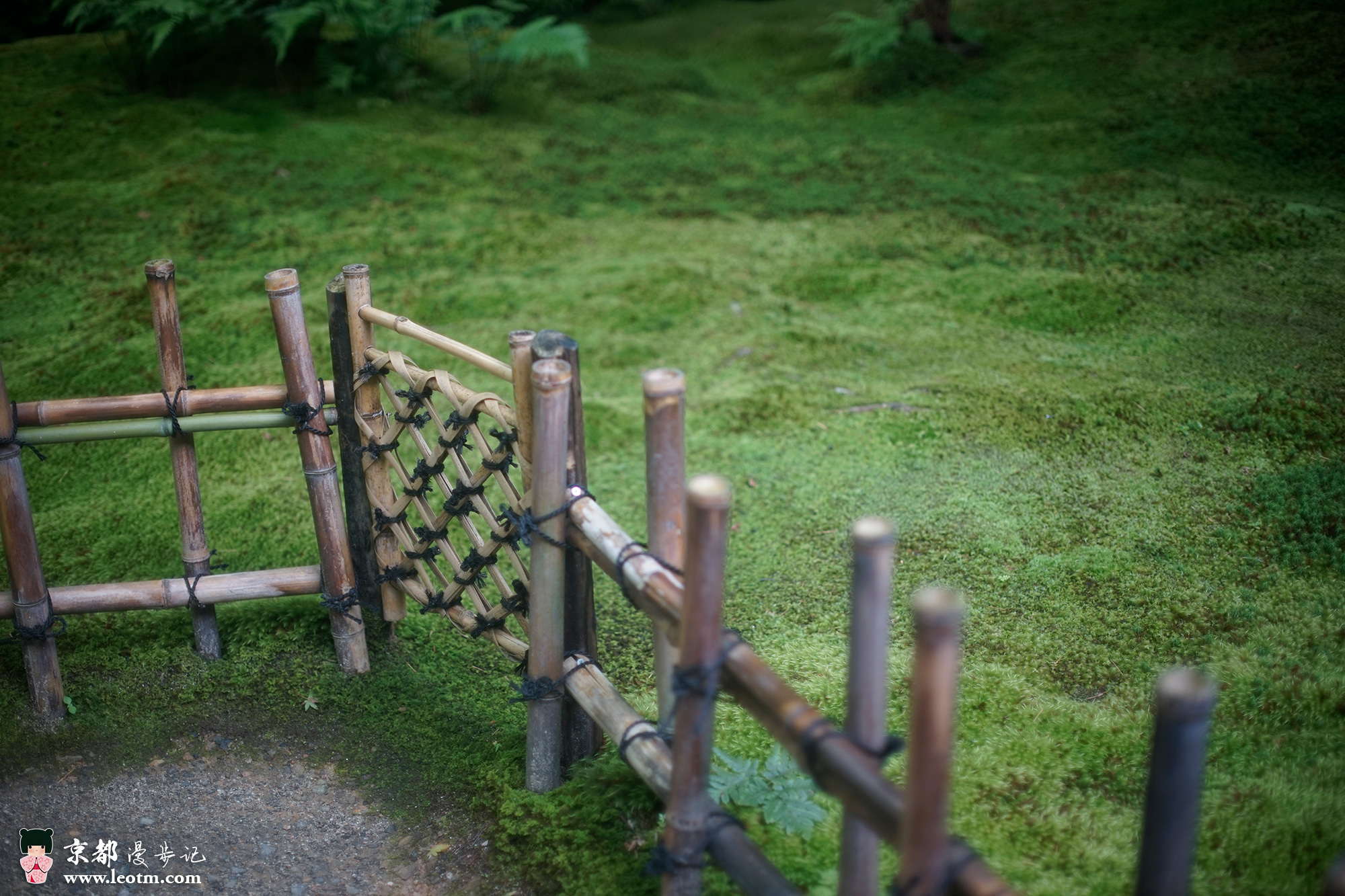 纸王寺