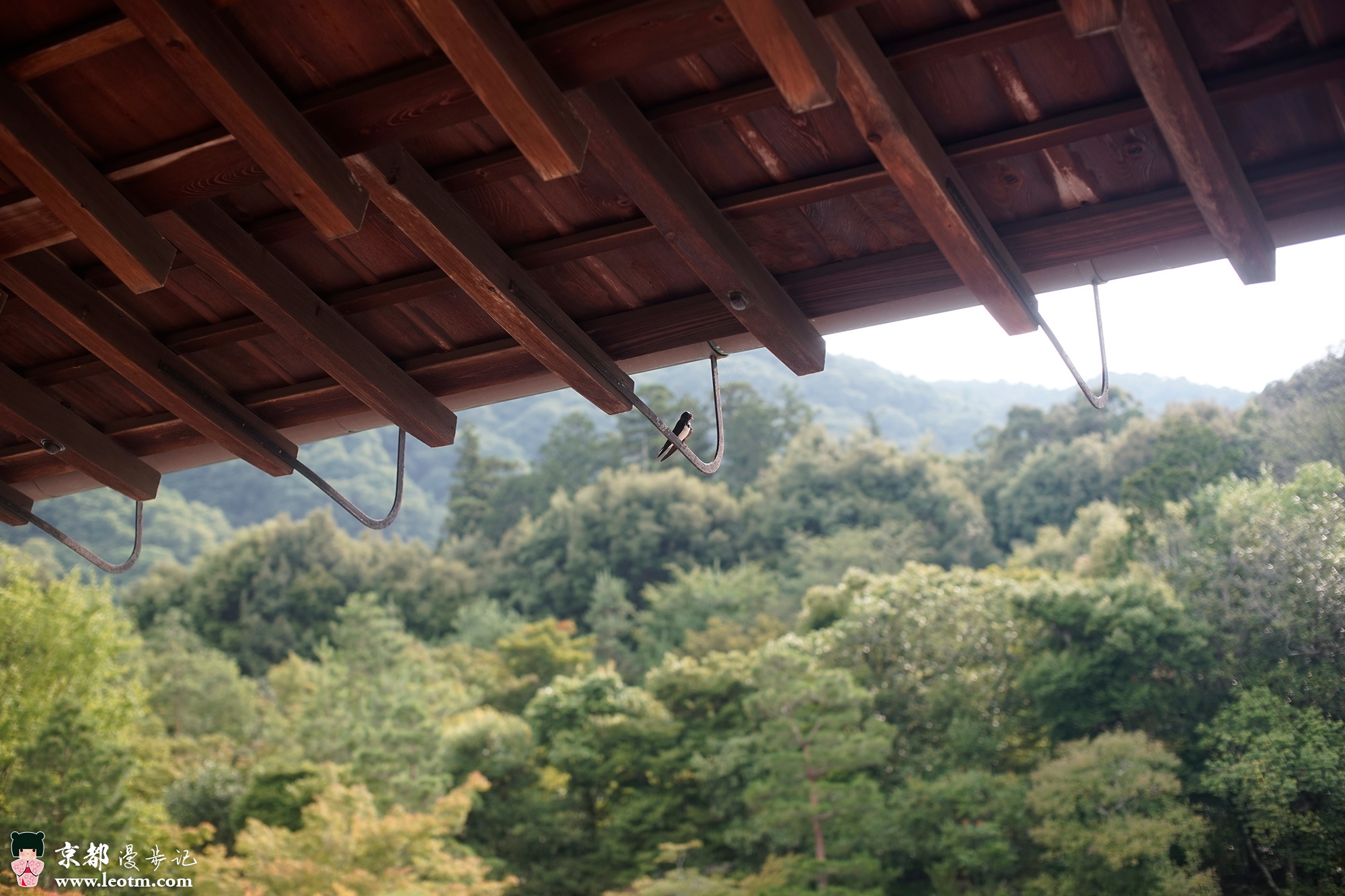 天龙寺