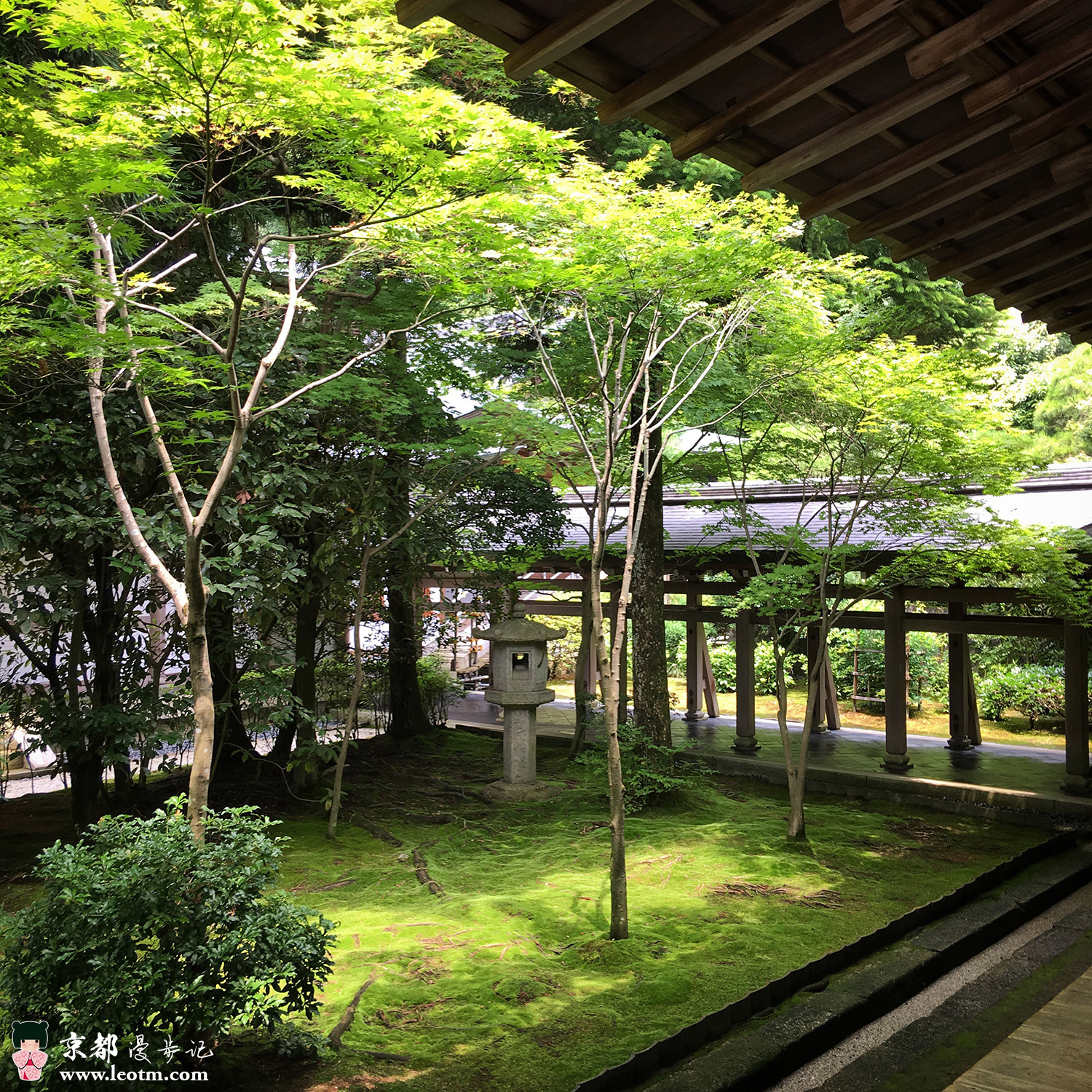 龙安寺