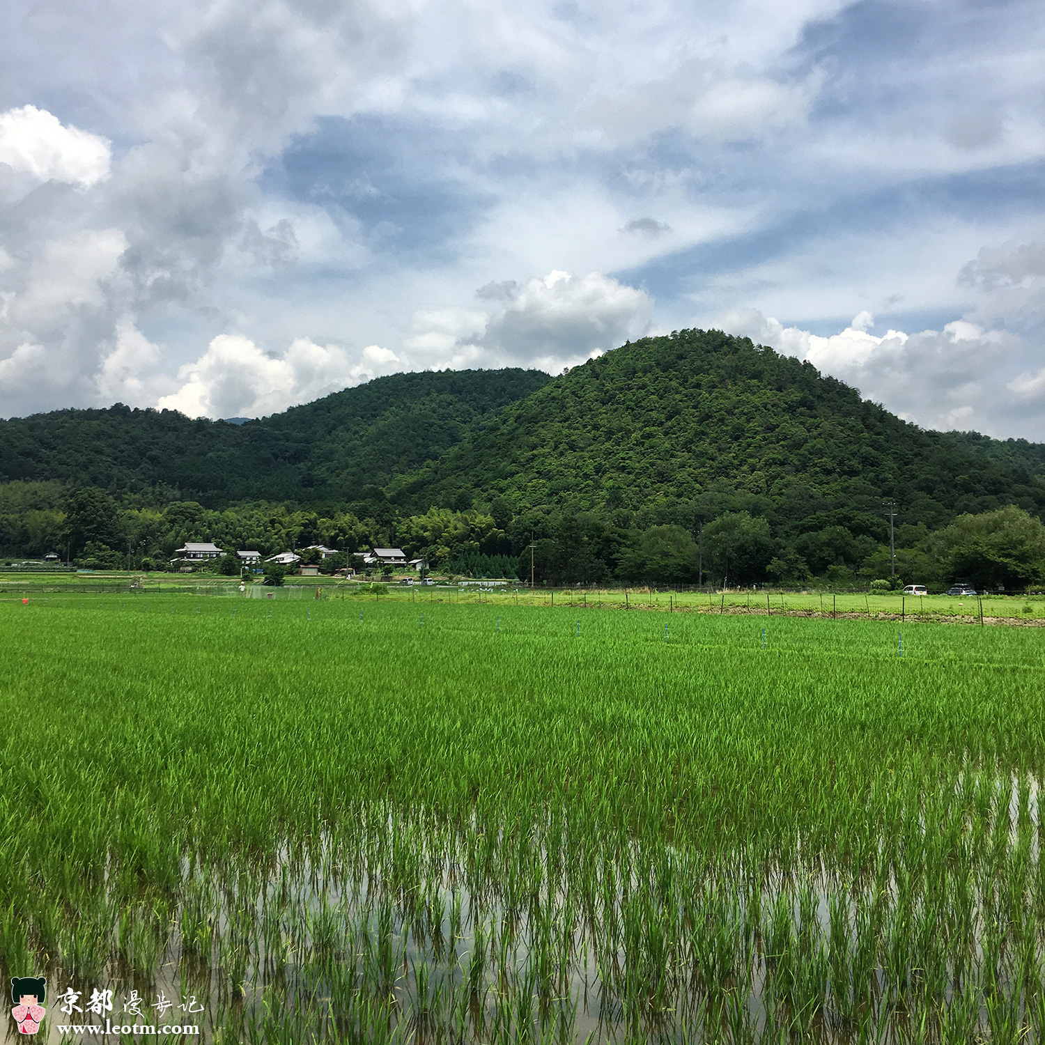 从龙安寺徒步到大觉寺
