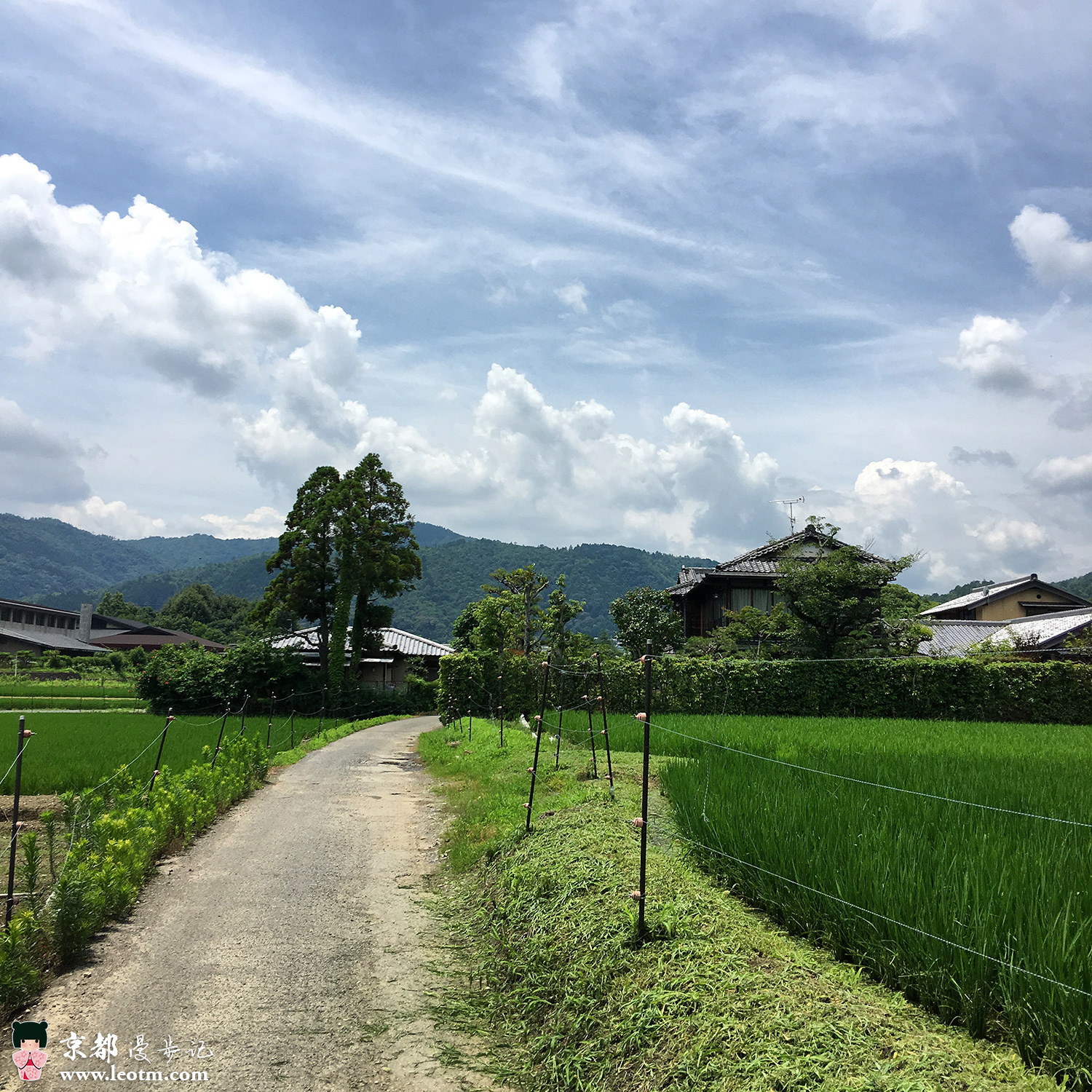 从龙安寺徒步到大觉寺
