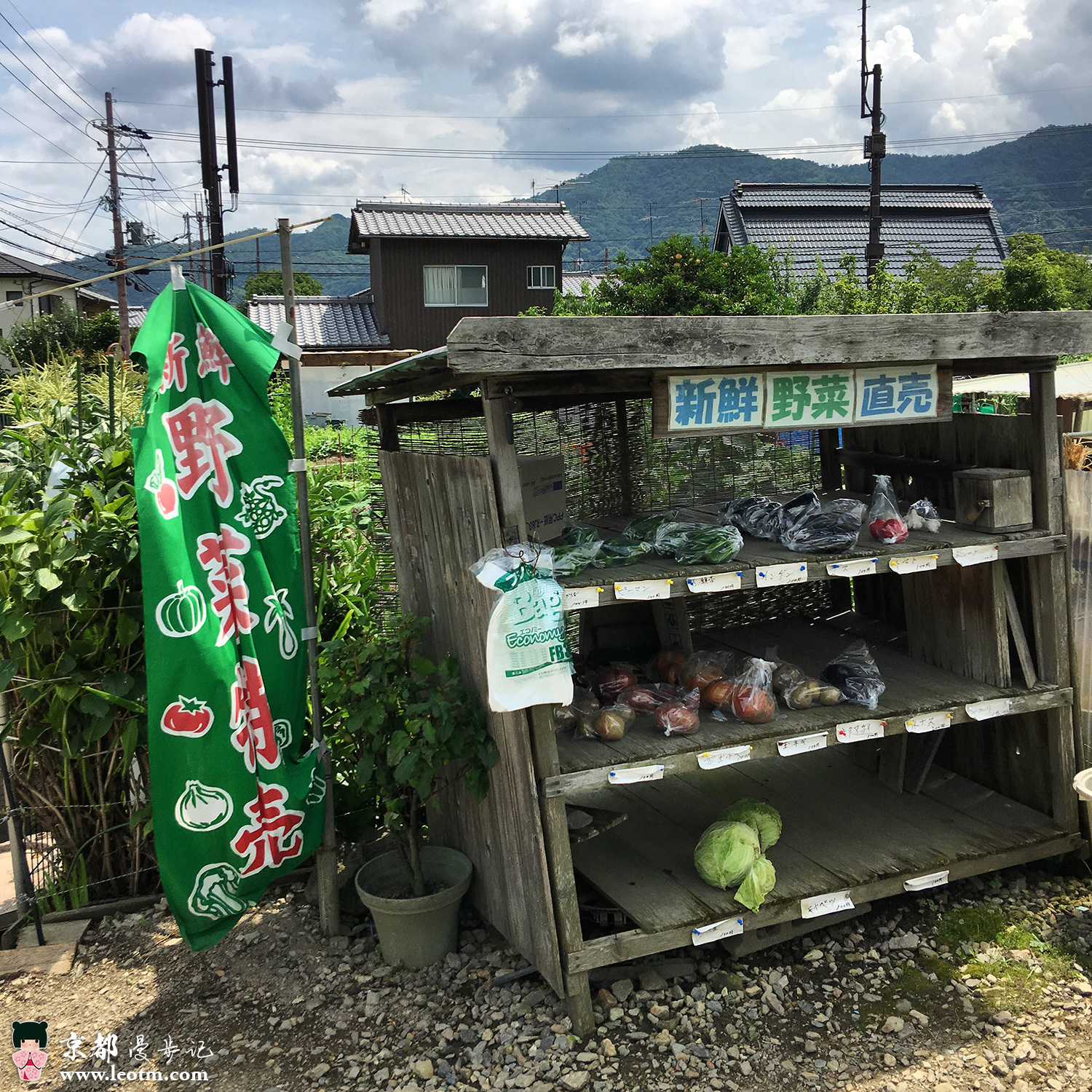 大觉寺徒步到纸王寺