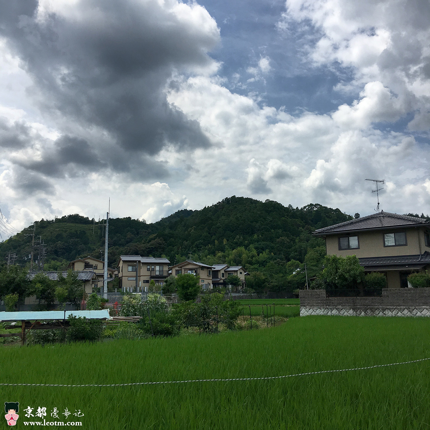 大觉寺徒步到纸王寺