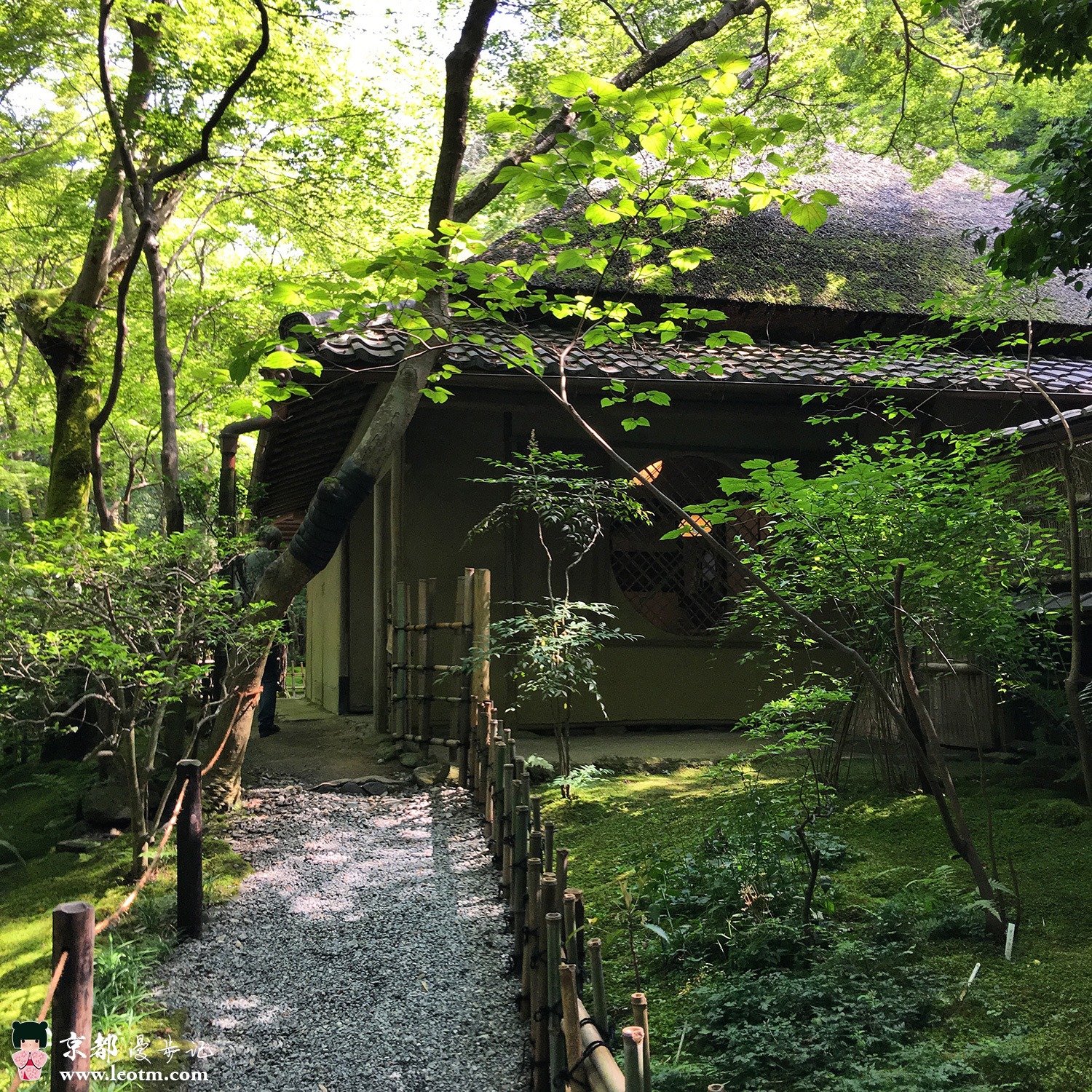 纸王寺