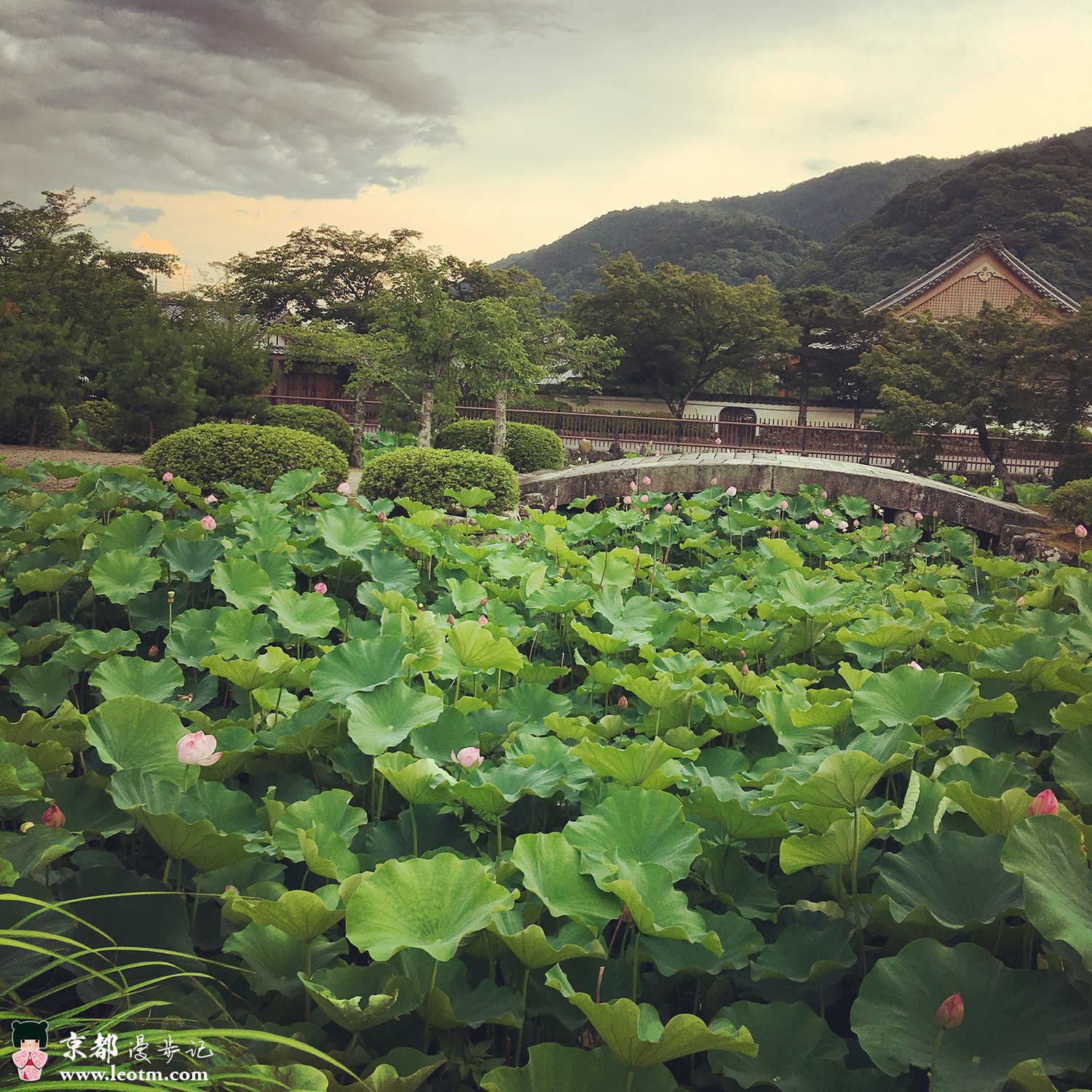 天龙寺
