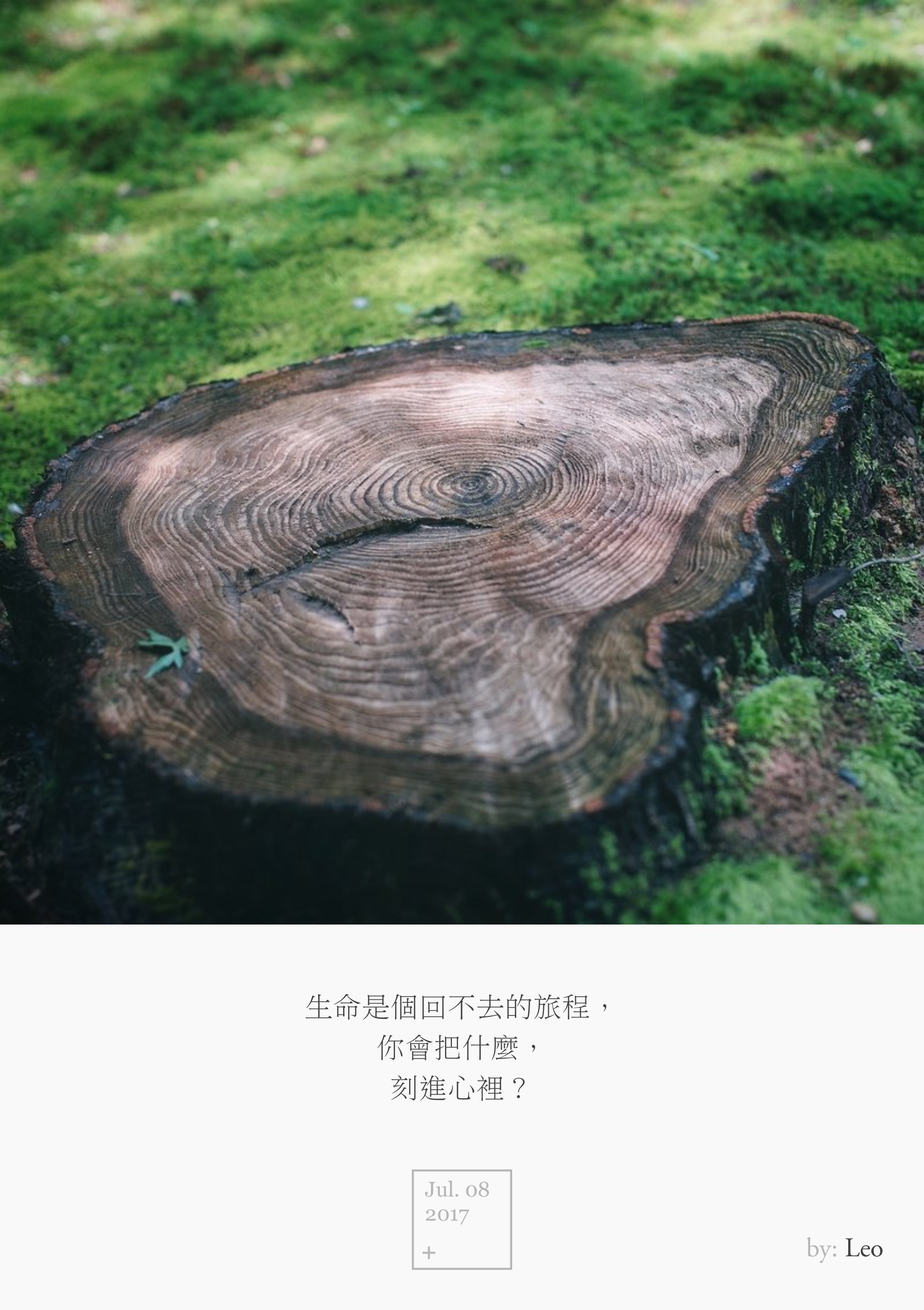 年轮