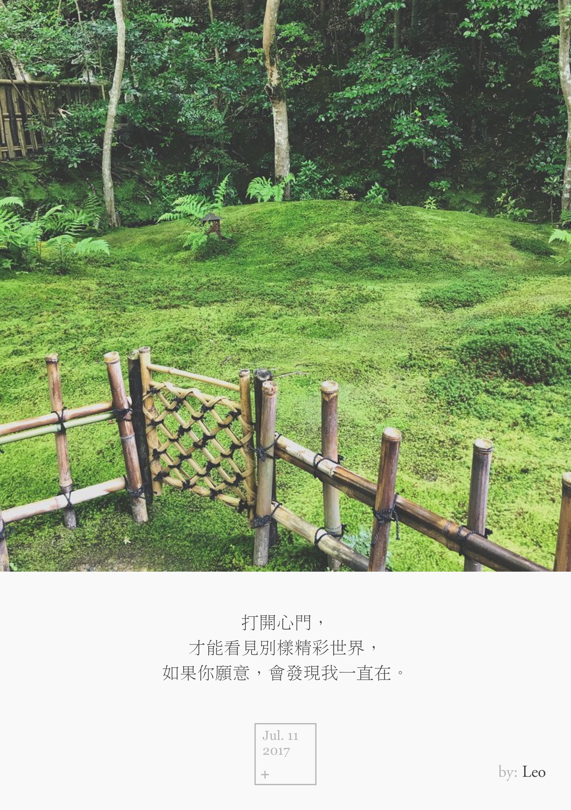 纸王寺青苔
