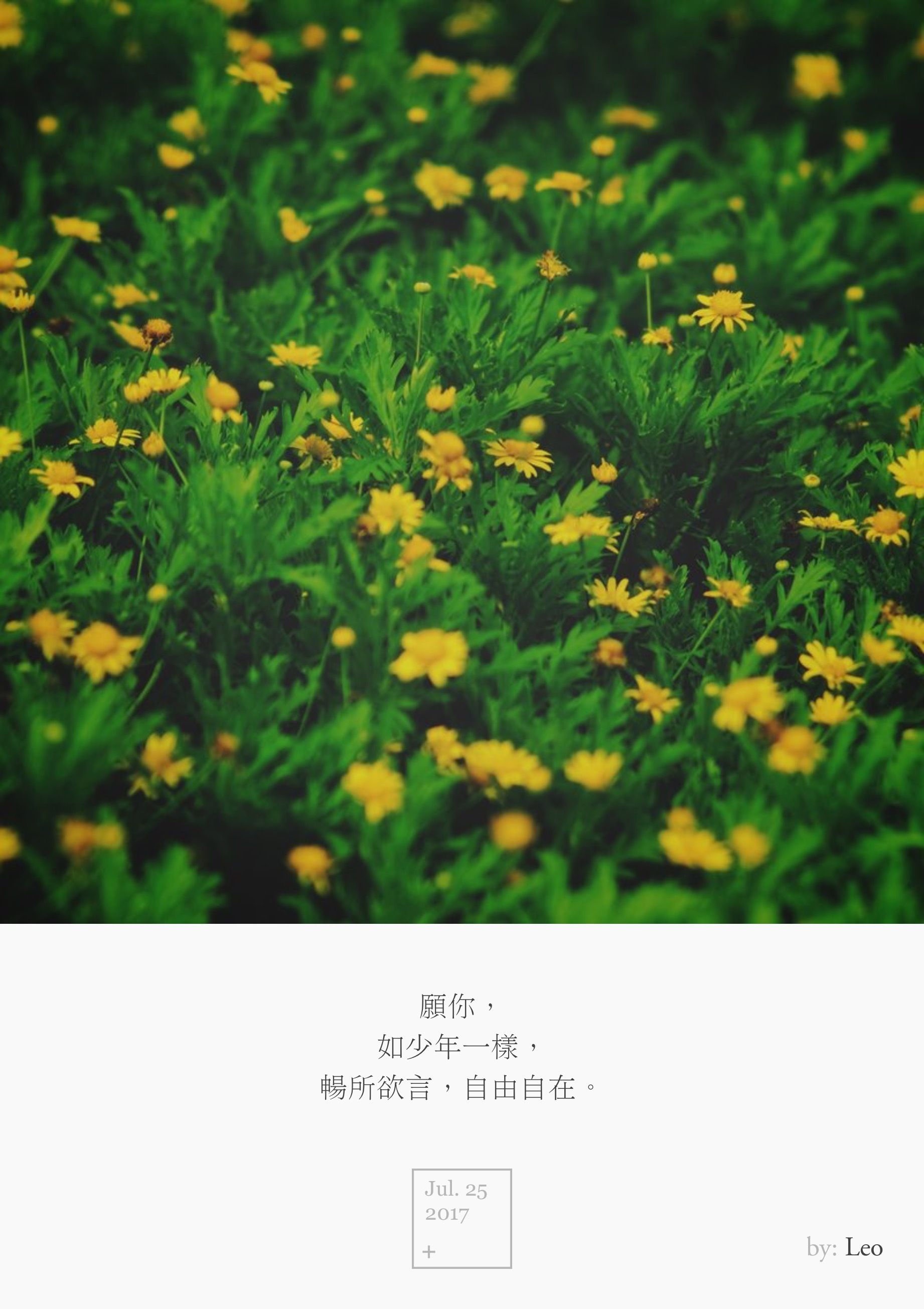 野花