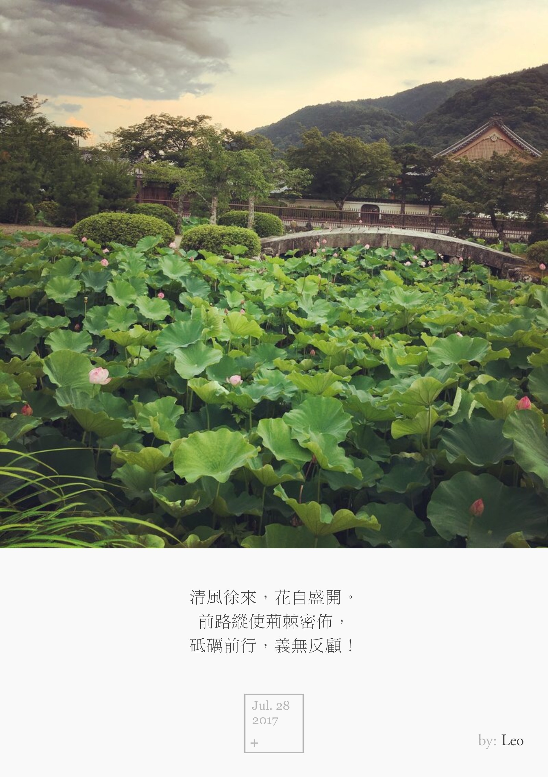 荷花