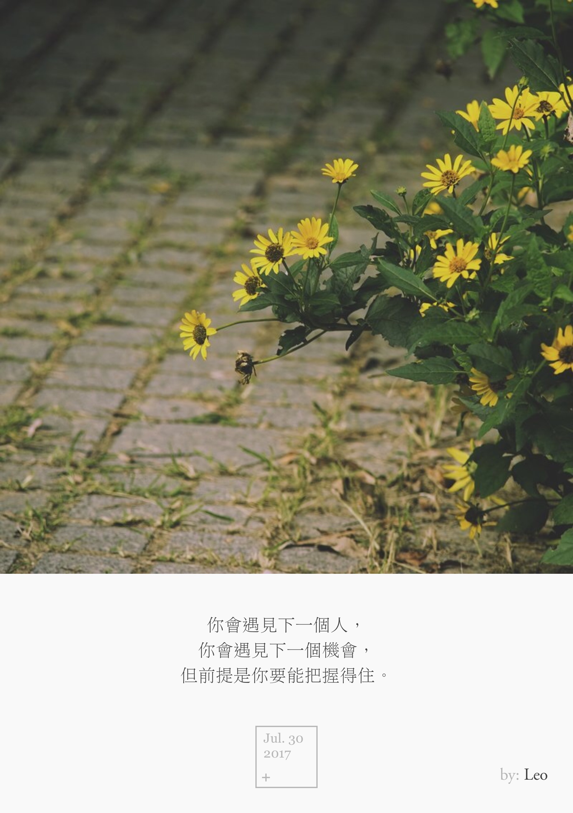 野花