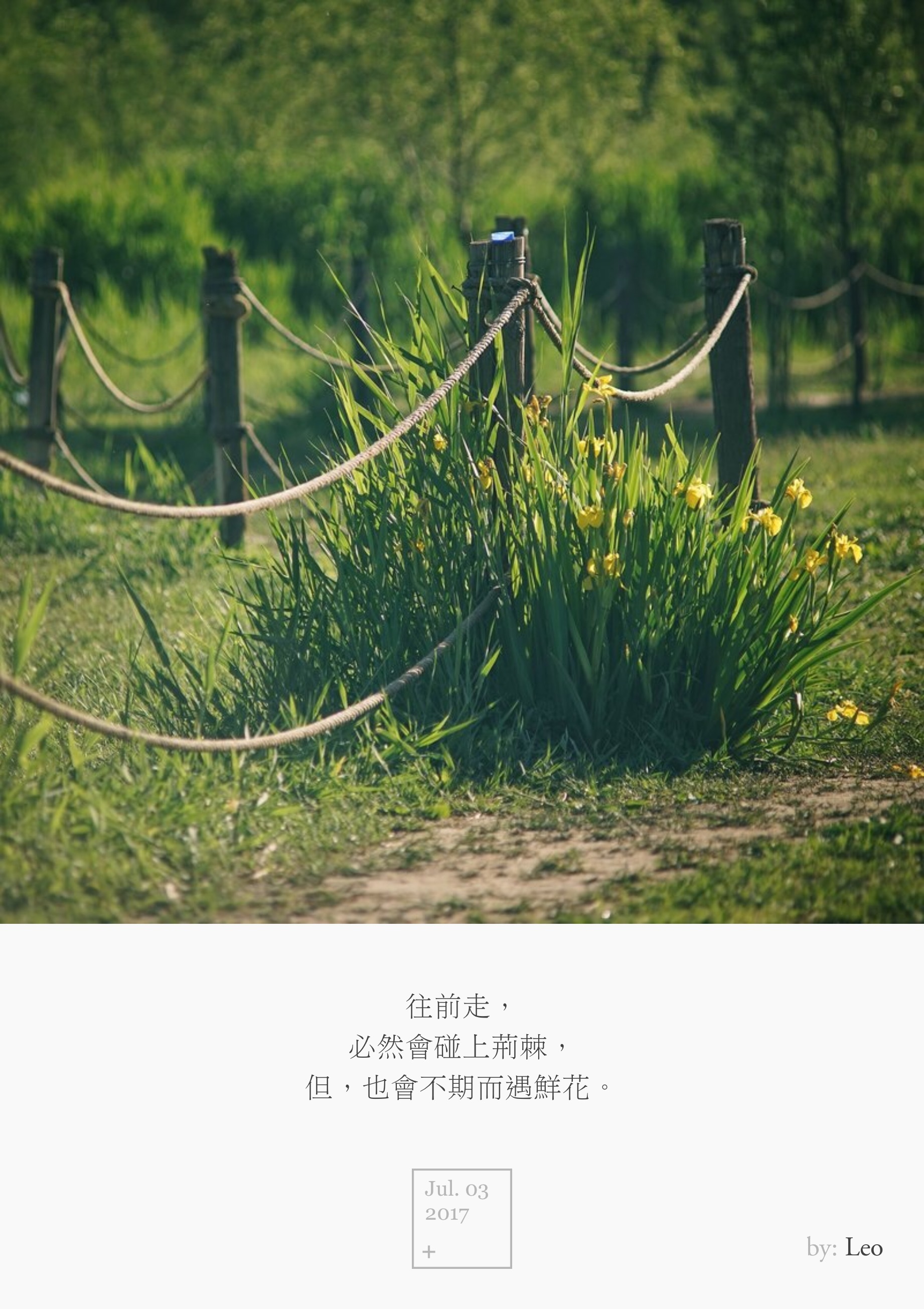 野花