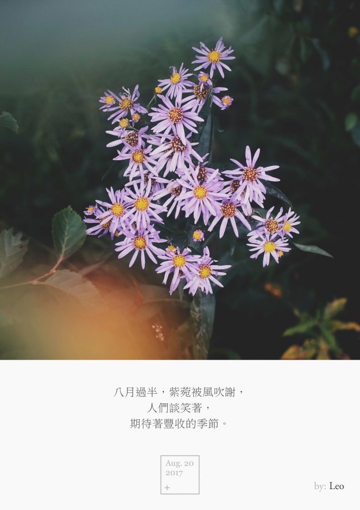 野花