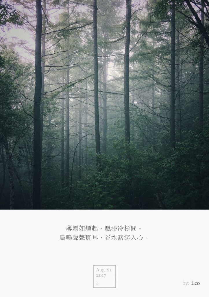 薄雾森林