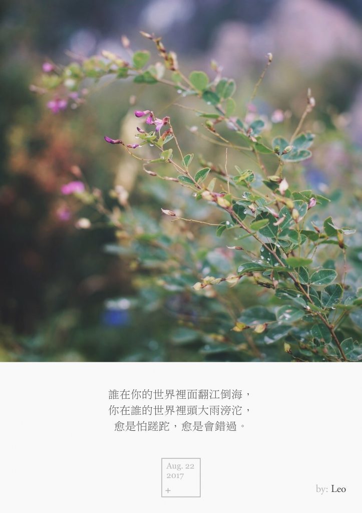 野花