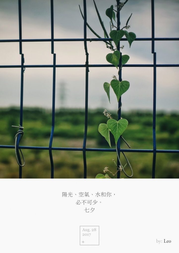 野花栅栏