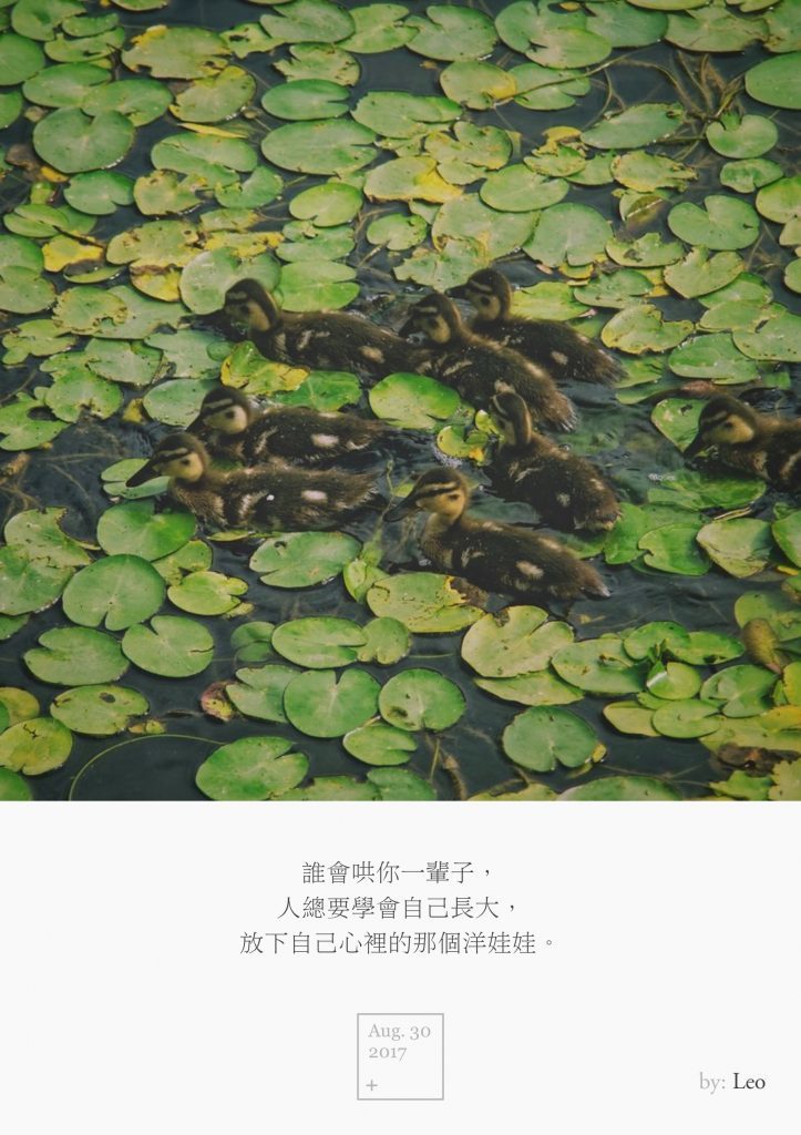 野鸭