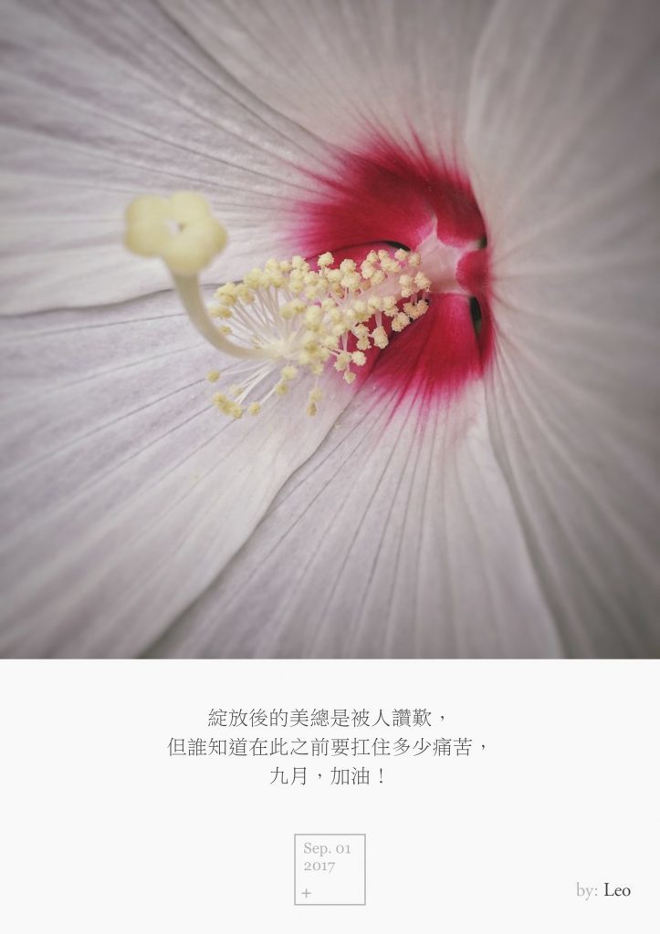 花蕊