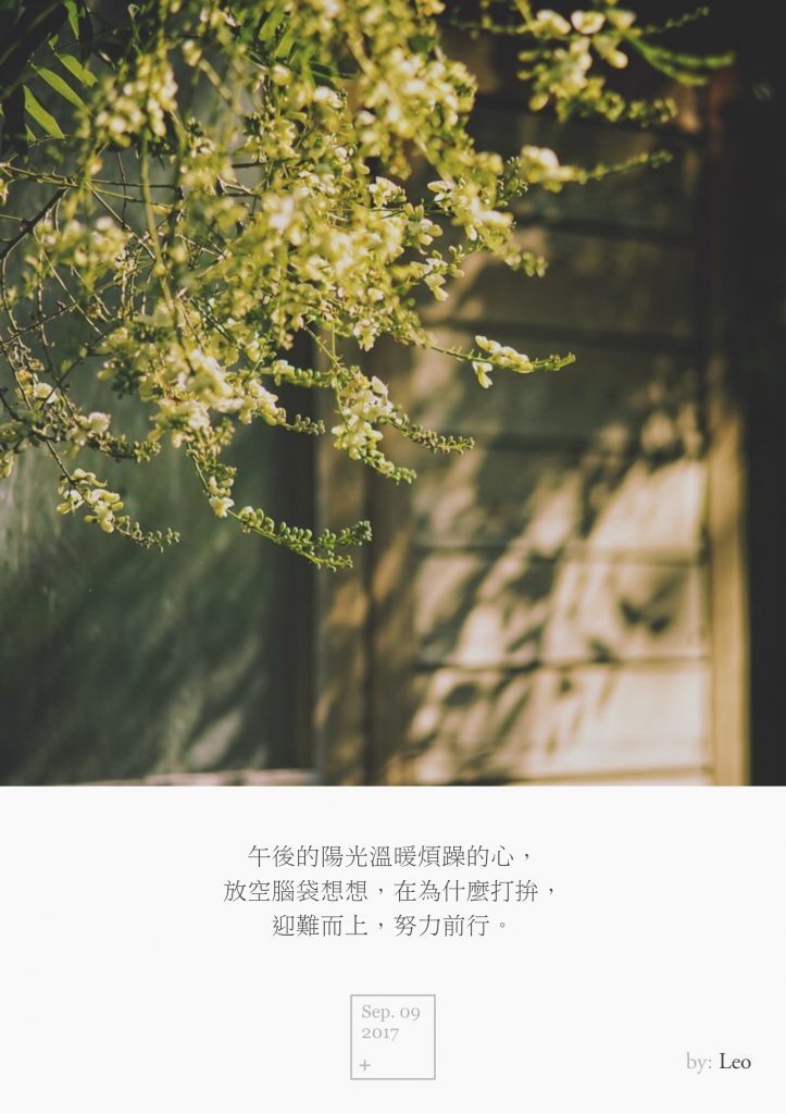 槐花