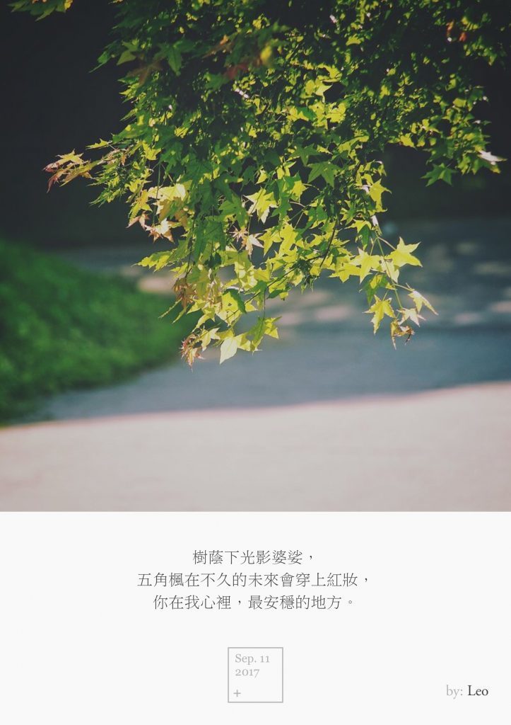 枫叶