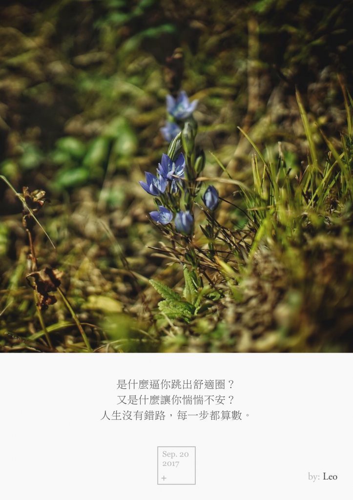 野花