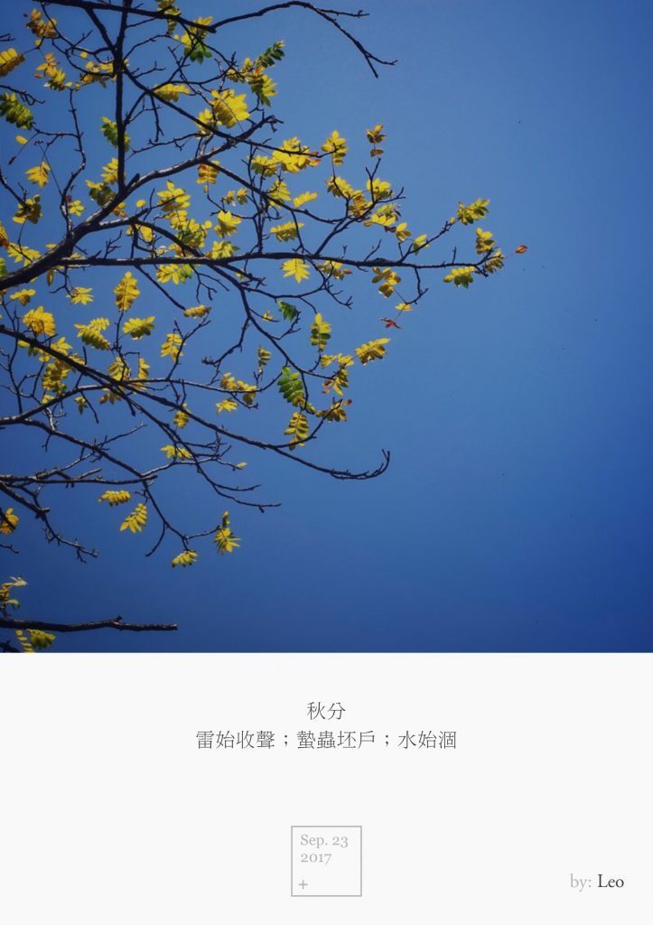 黄叶