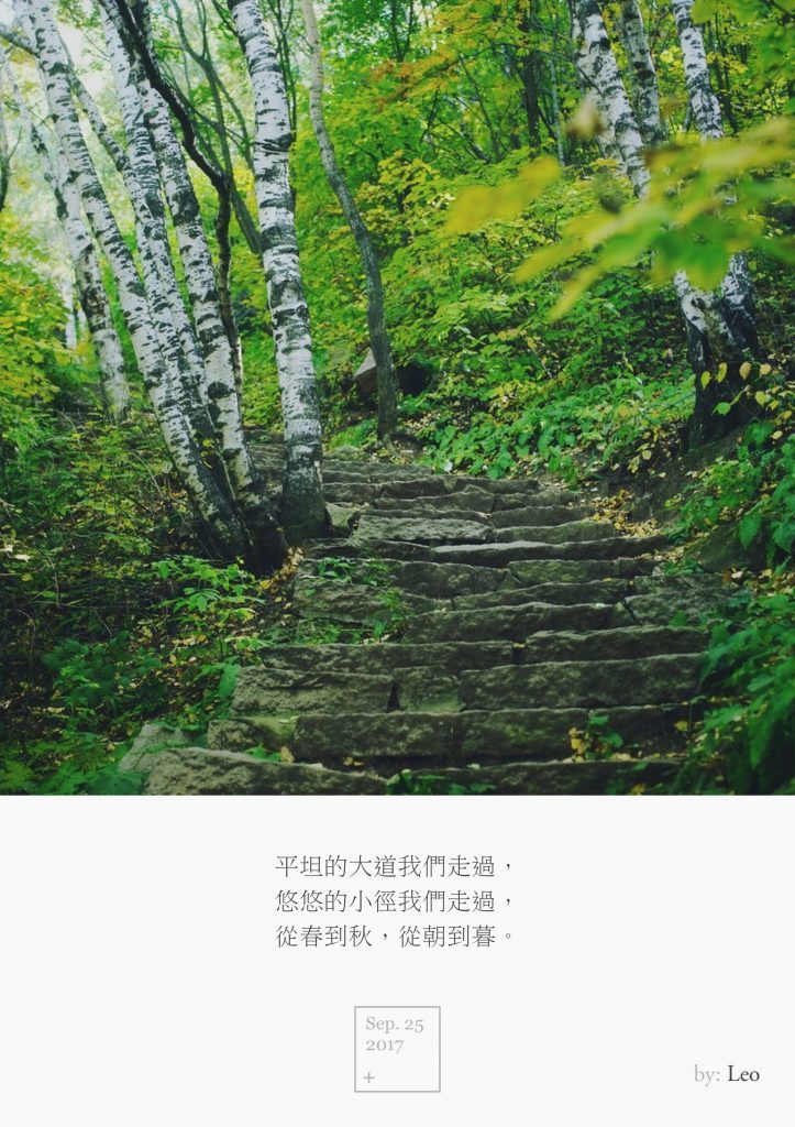 白桦林