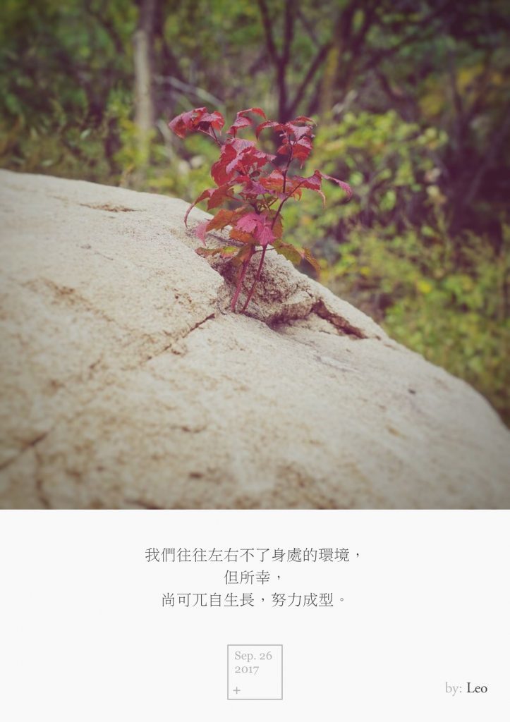 红叶