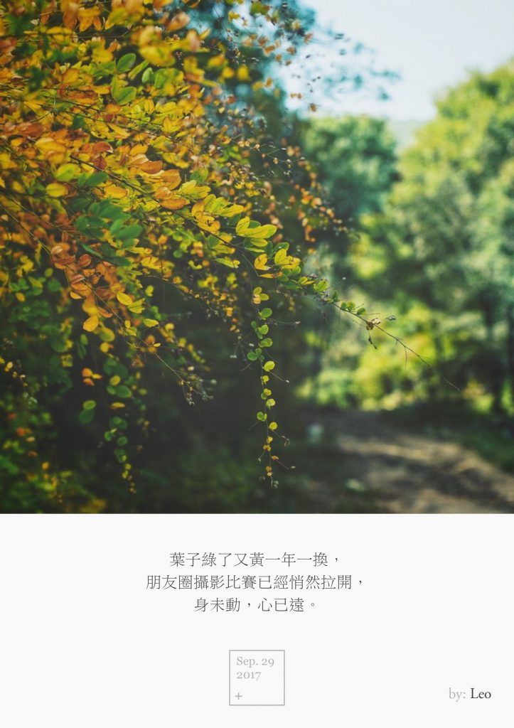 黄叶