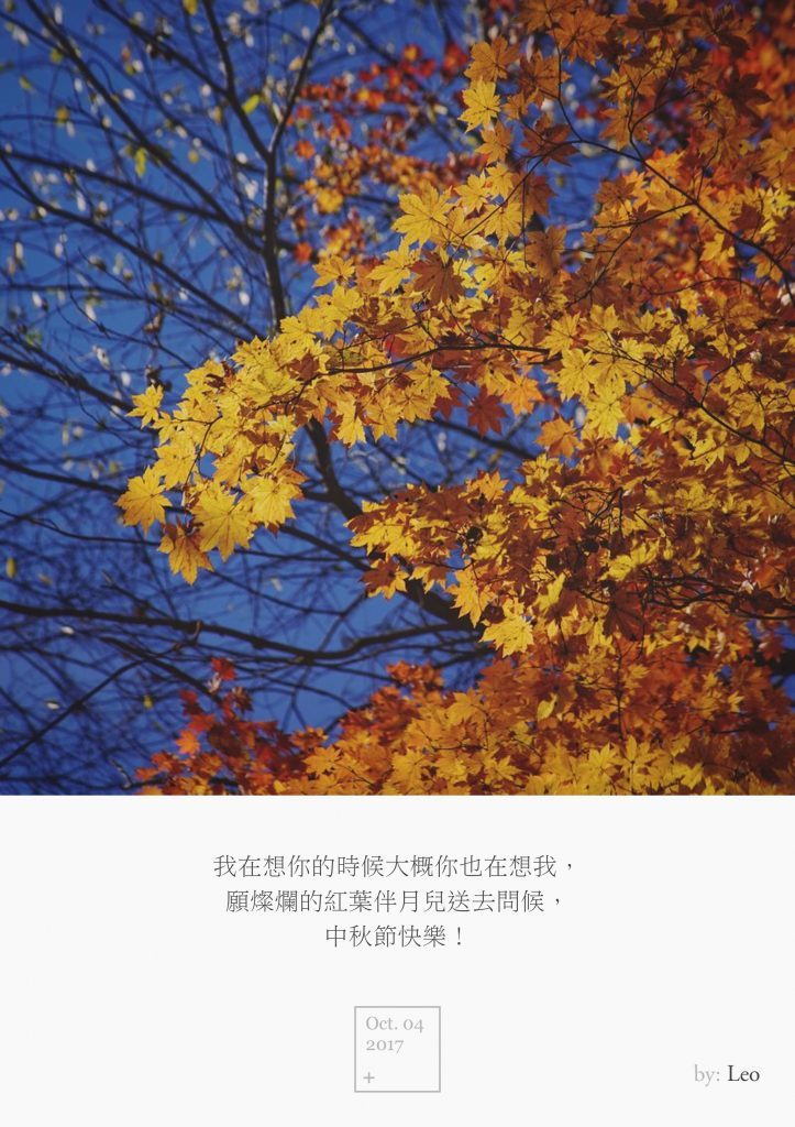 枫叶