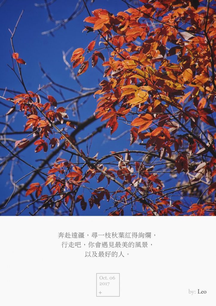 红叶