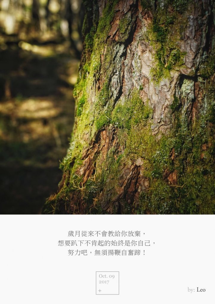 森林