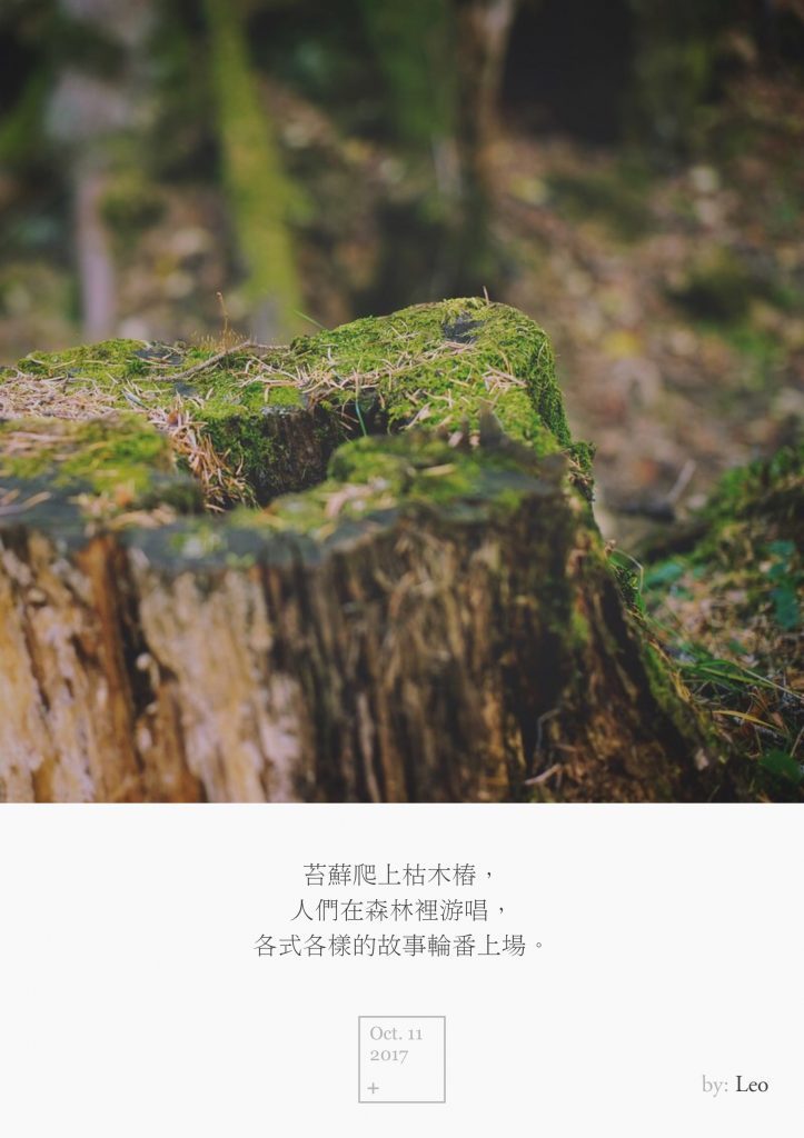 木桩
