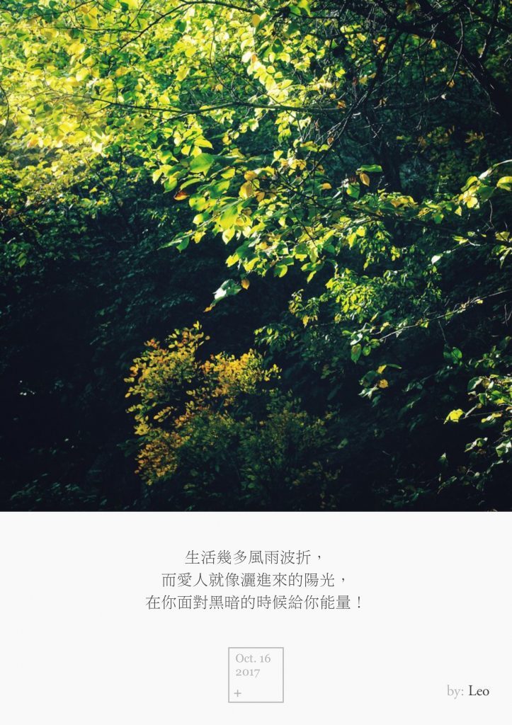 森林