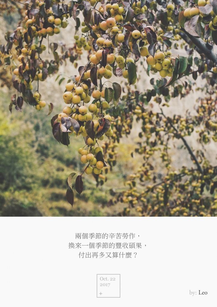 梨