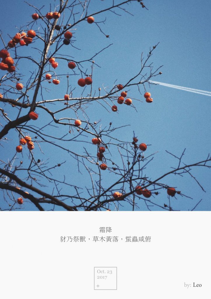 柿子