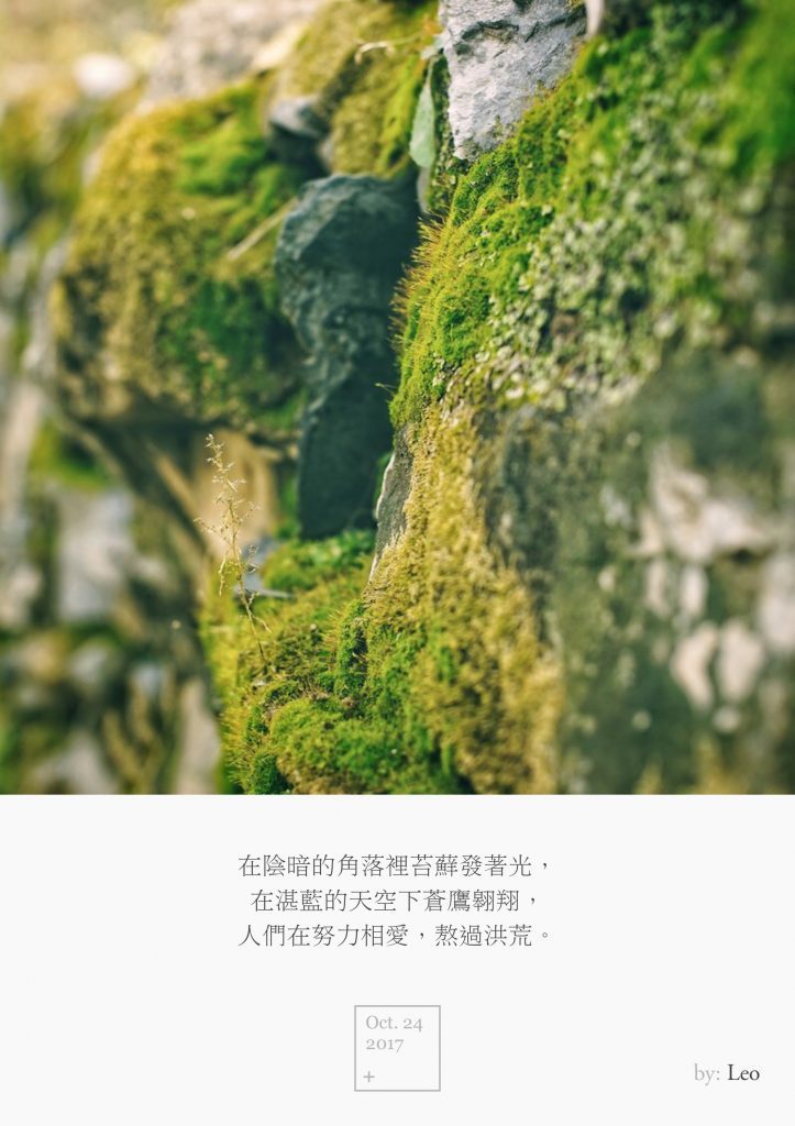 青苔