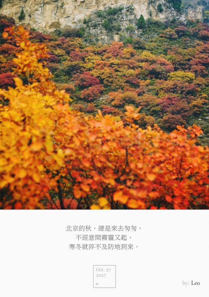 红叶