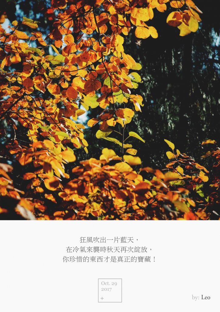 黄栌