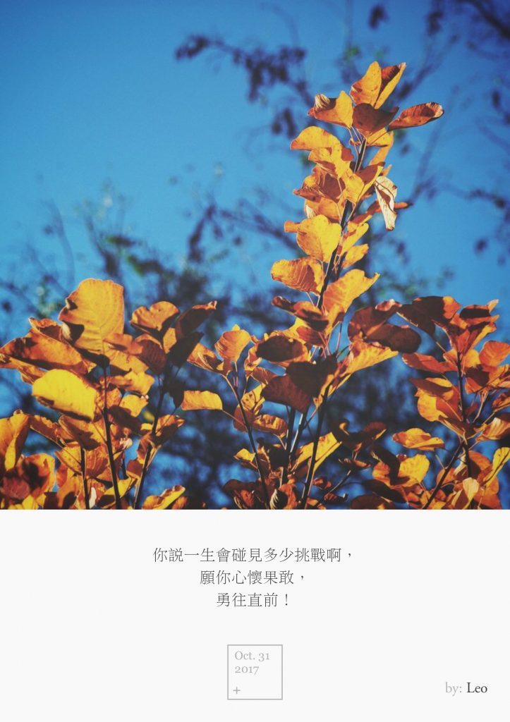 黄栌