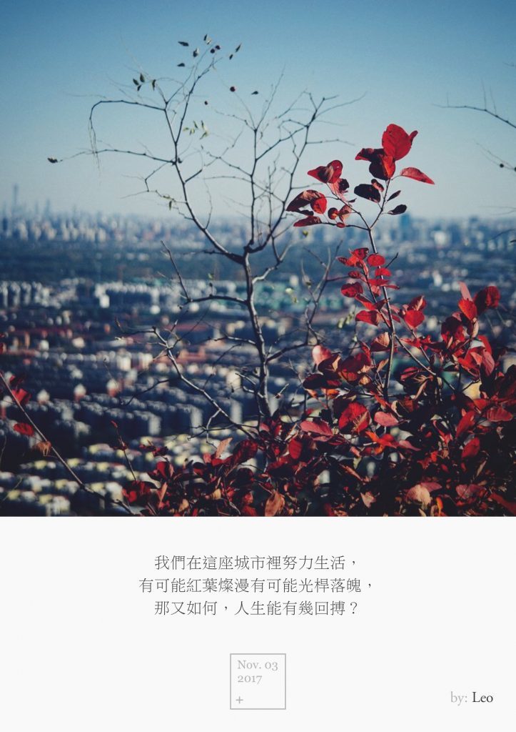 城市红叶