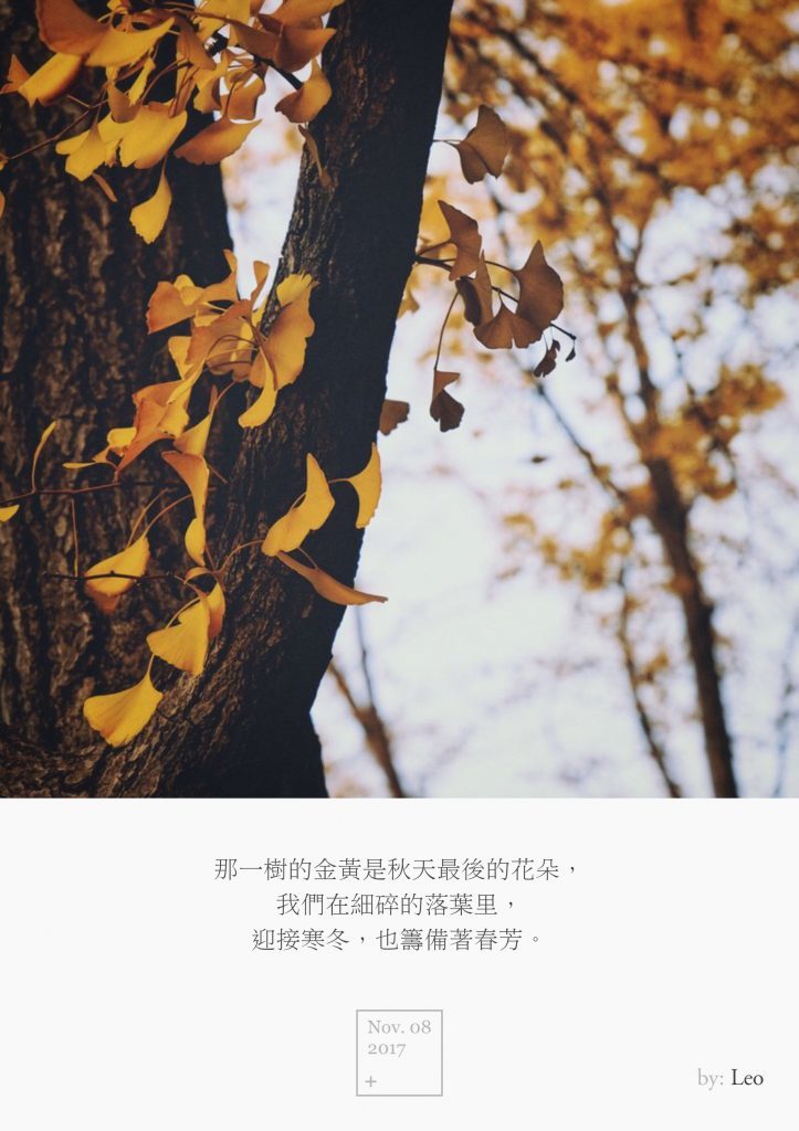 银杏