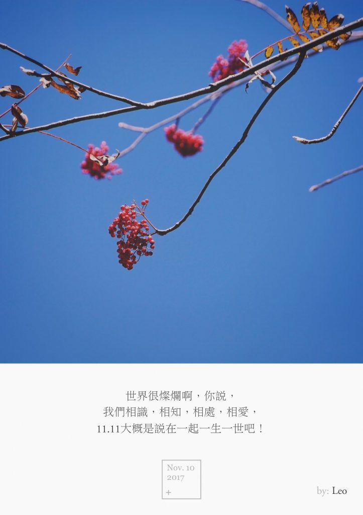红果